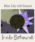 Blue Lily / Lotus 10:1 Extract Granules 2g